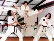 Miguel Soffia Brieva: Un Gigante del Karate Chileno que Elevó el Deporte a Nivel Mundial
