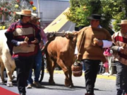 Fiesta Dieciochera en Hualqui: Un Encuentro Imperdible de Tradiciones y Celebración