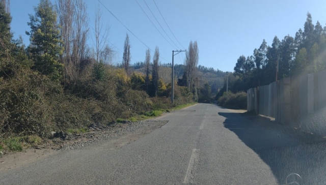 IMG_20240915_104018488