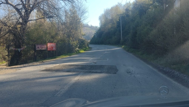 IMG_20240915_104038862