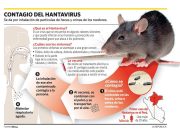 Nuevo caso de Hantavirus en cárcel de Concepción: Gendarmería activa estrictos protocolos sanitarios