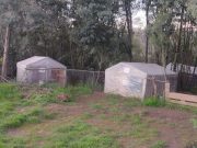 “La Toma Perruna de la Cuesta de la Herradura: Un Hogar que Necesita de Todos”