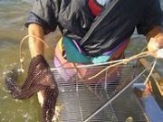 Crisis de los Buzos en Lirquén: Protestas y Barricadas por la Veda de Mariscos