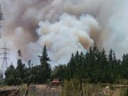Fuego Autorizado se Sale de Control y Consume Cinco Hectáreas en Ruta Concepción-Cabrero