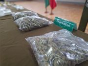 Desmantelan Red de Narcotráfico en Gran Concepción: Capturan a Líder Extranjero y Decomisan Millonario Botín