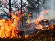 “Alerta máxima en 90 comunas por riesgo de incendios forestales”