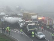 Tragedia en la Ruta del Itata: Cinco fallecidos y cuatro heridos en colisión frontal