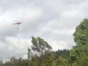 Hualqui En Peligro: La Batalla Contra los Incendios Forestales