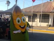 ¡La Fiesta del Choclo arrasa en Hualqui! Tradición, sabor y música en el mejor evento del verano