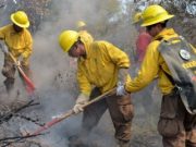 URGENTE: Incendio forestal en Lebu pone en peligro a 100 viviendas – Senapred declara Alerta Roja.