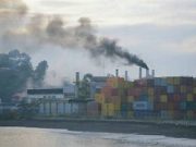 Crisis Ambiental en Coronel: Pescadores Industriales Exigen Acción Inmediata ante la Autoridad Sanitaria