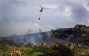 Fuego y Acero: Incendios Forestales Paralizan el Servicio Ferroviario en Hualqui