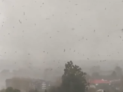 Terror en el Sur: Tornado Azota Puerto Varas y Deja Destrucción a su Paso