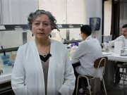 Ciencia chilena presenta avance clave contra el cáncer gástrico: crean probiótico que bloquea bacteria causante