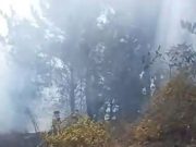 Alerta Roja en Tomé: Incendio originado en vivienda deriva en siniestro forestal y amenaza sectores habitados