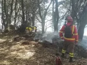 Alarma en Hualpén: voraz incendio forestal amenaza el sector Ramuntcho durante la noche