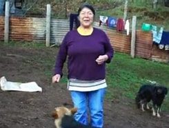 Silencio en el predio mapuche: Fiscalía confirma hallazgos clave en la búsqueda del cuerpo de Julia Chuñil
