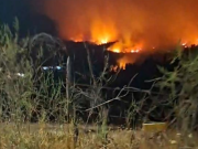 Ránquil bajo el fuego: incendio forestal deja una estela de devastación y mantiene a la comuna en alerta máxima