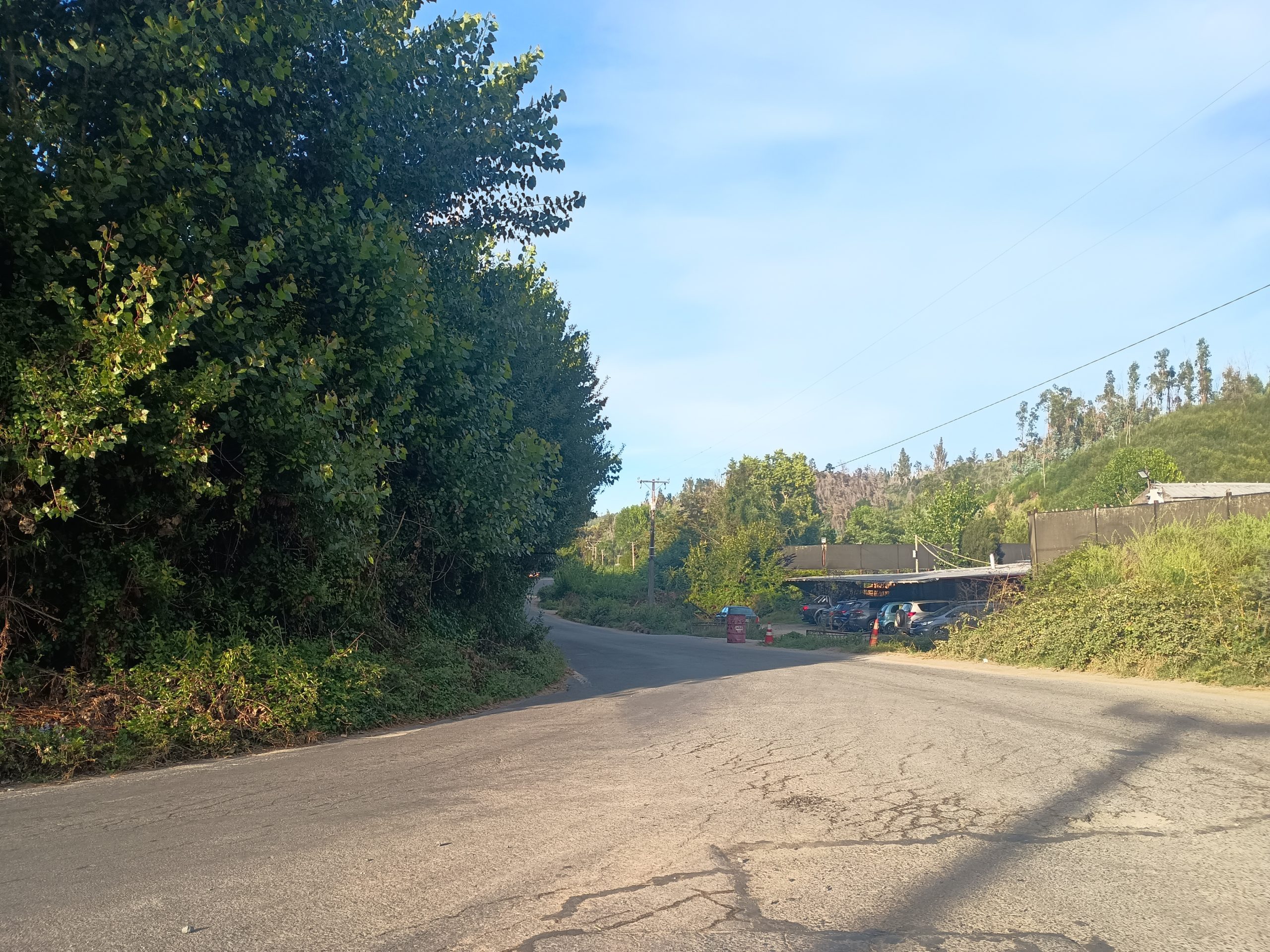 Caminos rurales en abandono: vecinos denuncian peligro diario en la comuna de Hualqui