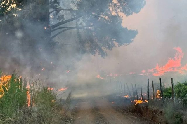 incendio-ranquil-3-1