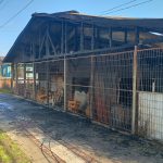 "El fuego no tuvo piedad: vivienda quedó reducida a cenizas en dramático incendio a pasos de la estación de Hualqui"