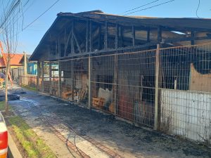"El fuego no tuvo piedad: vivienda quedó reducida a cenizas en dramático incendio a pasos de la estación de Hualqui"