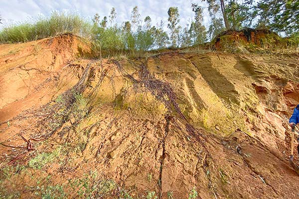 Penco Divide su Destino: Aprueban Proyecto de Tierras Raras y se Abre una Nueva Batalla por los Cerros de la Comuna